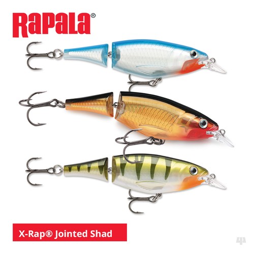 Rapala rap jointed shad - jointed,