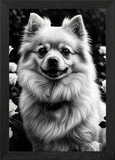 Smiling Pomeranian with Roses