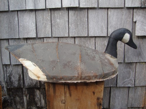 Old goose decoy carolina - old,