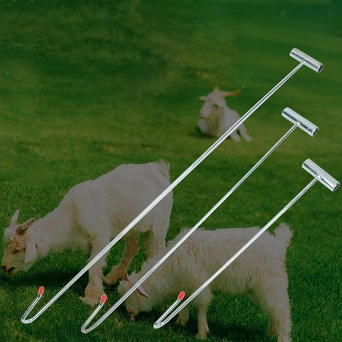 Sheep catcher pole - catcher, farm