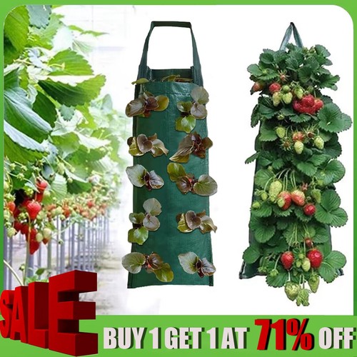 Fabric wall hanging planting - hanging,