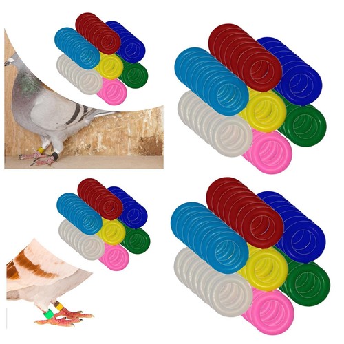 Bird identification foot rings - identification,