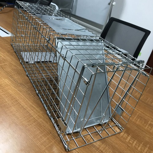 Heavy duty squirrel - heavy, trap