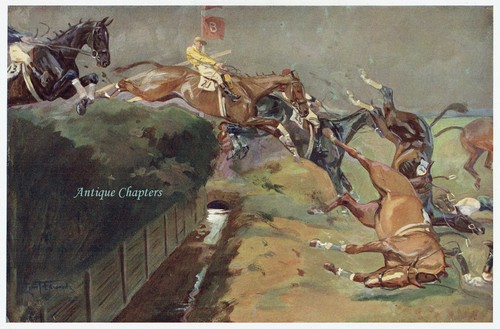 Grand national becher brook - grand,