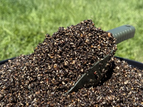 Prepared oily hempseed - hempseed,