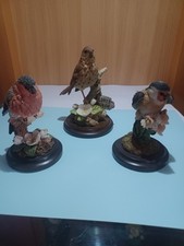 Country Artist Birds