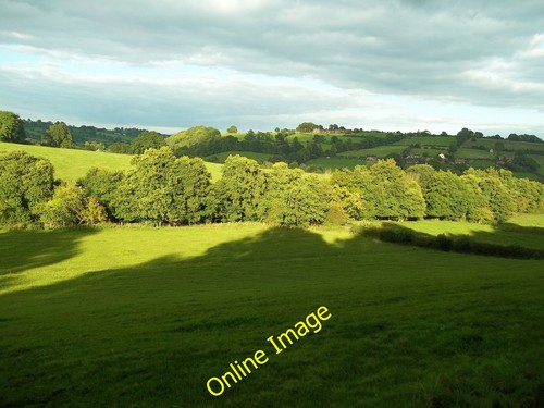 Photo 6x4 late afternoon view - late,