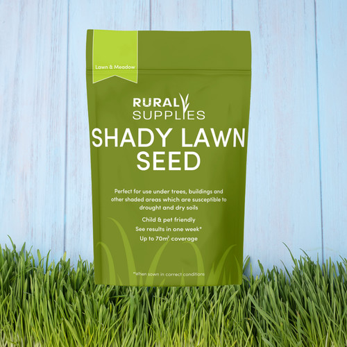 Premium grass seed for - grass, shaded