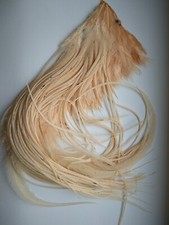 Fly fishing tying materials feathers