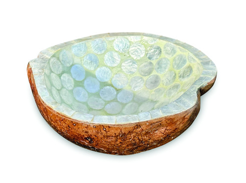 Coconut shell bowl white - coconut,