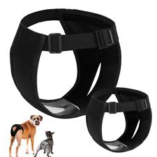 Period Dog Shorts Panties