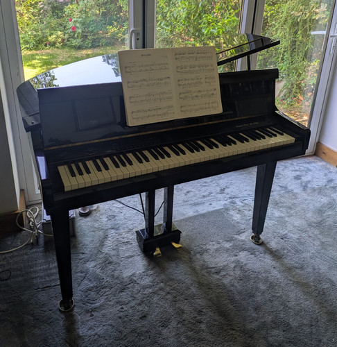 Samick 876g key - samick, 88-key