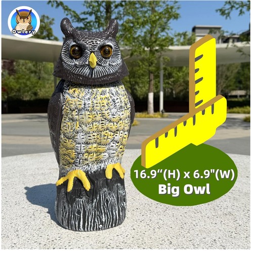Solar owl guard - guard, motion