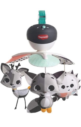 Tiny love take along - love,
