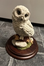 The Leonardo Collection