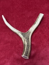 ONE PIECE OF DEER ANTLER, Y