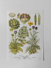 Botanical Print Globe