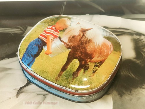 Boy with pony horse - boy, pony/horse-edward