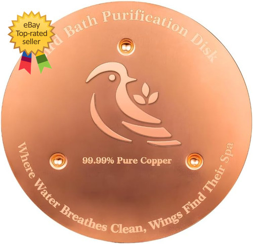 Bird bath copper disk - bird,