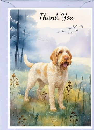 Italian spinone dog thank - italian,