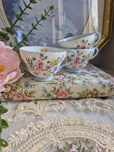 Set vintage shelley wild - of, 3