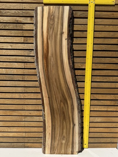 Walnut live edge - edge, slab