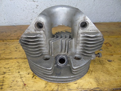 Triumph tiger cub oval - tiger,