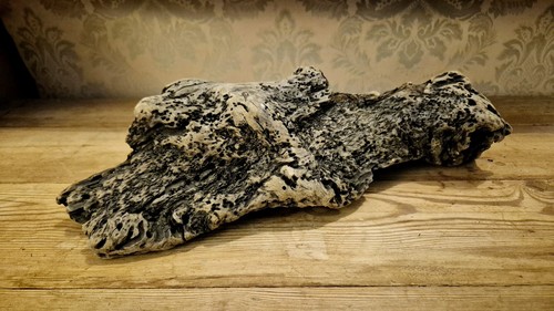 Heavy unique natural driftwood - heavy,