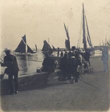 Royan The return of fishing