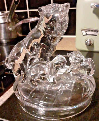 Rcr royal crystal rock cat - cat, and