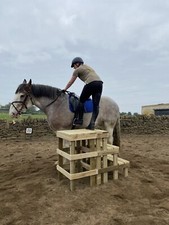 Equestrian 3 Step Mounting Block With Platform 90cm High