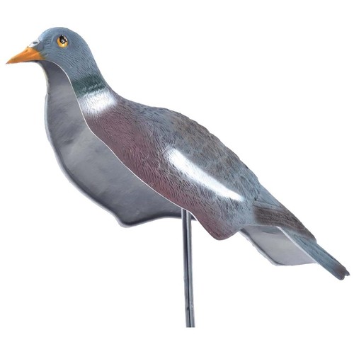 Bisley standard pigeon - bisley, shell