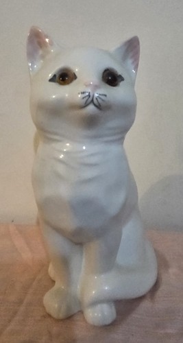 Just cats white - white, cat