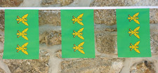 Caernarfonshire Flag Bunting - 6m With 20 Flags