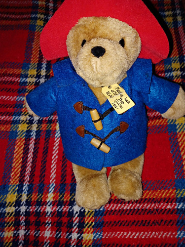 Paddington bear plush - paddington,