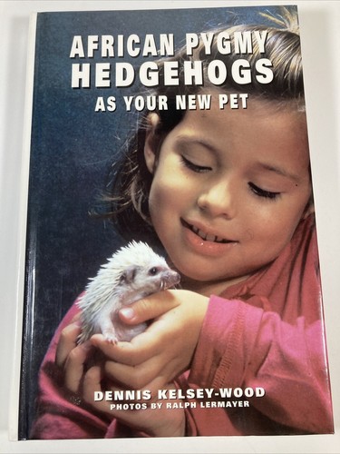 African pygmy hedgehogs - african,