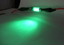 LED Interior Light Festoon