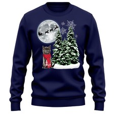 British Shorthair Kitten Gift