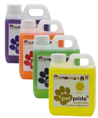 Kennel cattery cleaner and - cattery,