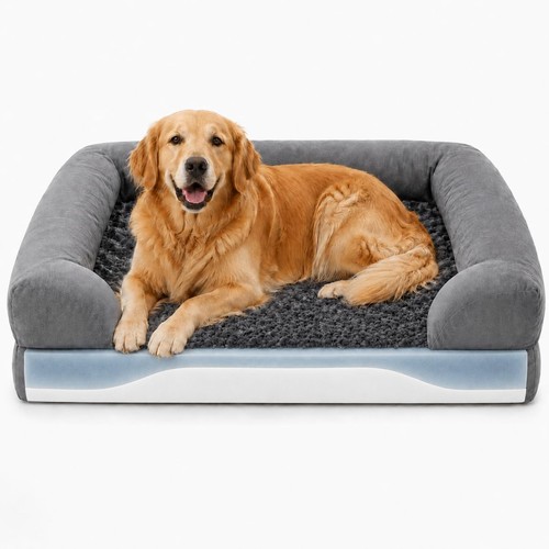 Orthopaedic dog bed - orthopaedic, bed,