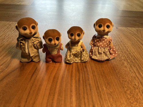 Spotter meerkat family - meerkat,