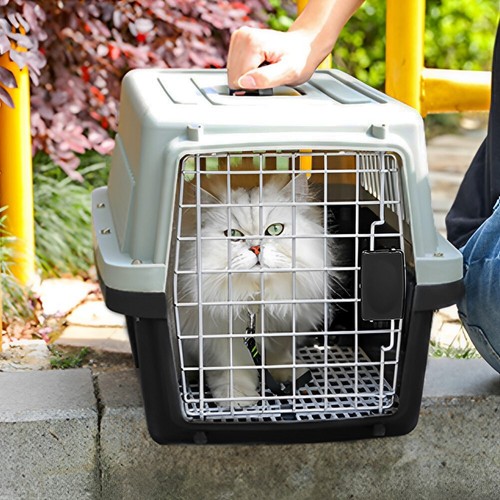 Large portable pet carrier - carrier, box