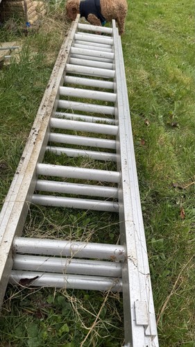 Lyte aluminium triple ladders - aluminium,