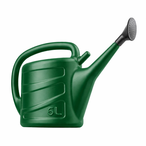 Watering can rose head - can,