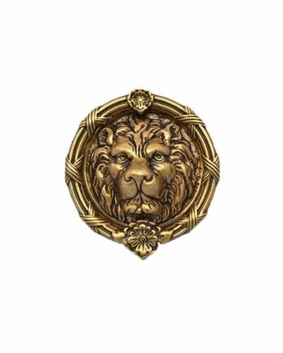 Door knocker lion head - knocker, lion’s