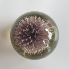 Hafod Grange lucite paperweight resin violet thistle flower 1998 Britain vintage