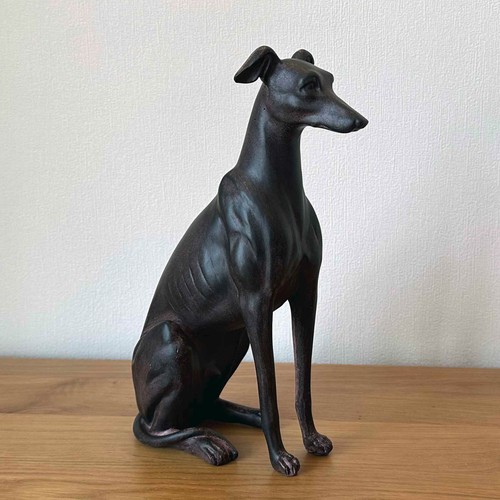 Greyhound whippet lurcher - greyhound,