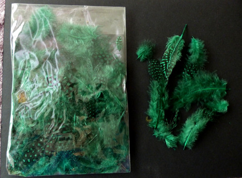 Guinea fowl feathers - feathers, mixed
