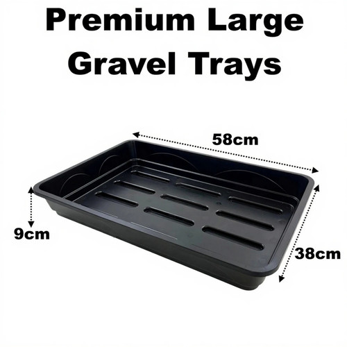 Large premium 58cm - 58cm, seed
