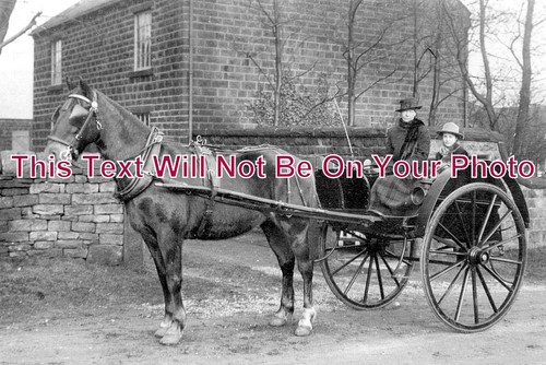 13816 horse trap - -, &